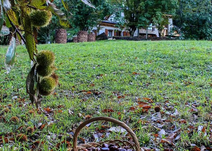 Bauernhof Cargador De Ron *